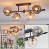 Ripoll ceiling light, globe light Amber, clear, Smoke-coloured, 5-light sources