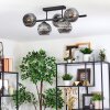 Ripoll ceiling light, globe light Smoke-coloured, 5-light sources