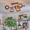 Ripoll ceiling light, globe light Smoke-coloured, 5-light sources