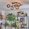 Ripoll ceiling light, globe light Smoke-coloured, 5-light sources