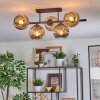 Ripoll ceiling light, globe light Amber, Smoke-coloured, 5-light sources