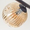 Ripoll ceiling light, globe light Amber, Smoke-coloured, 5-light sources