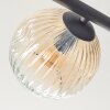 Ripoll ceiling light, globe light Amber, clear, Smoke-coloured, 5-light sources