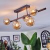 Chehalis ceiling light, globe light Amber, 5-light sources