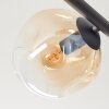 Ripoll ceiling light, globe light Amber, clear, Smoke-coloured, 5-light sources