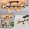 Ripoll ceiling light, globe light Amber, clear, 5-light sources