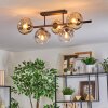Ripoll ceiling light, globe light Amber, clear, Smoke-coloured, 5-light sources