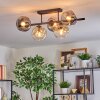 Ripoll ceiling light, globe light Amber, clear, Smoke-coloured, 5-light sources