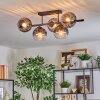 Koyoto ceiling light, globe light clear, Smoke-coloured, 5-light sources