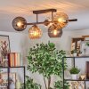 Koyoto ceiling light, globe light Amber, clear, Smoke-coloured, 5-light sources
