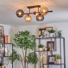 Koyoto ceiling light, globe light Amber, clear, Smoke-coloured, 5-light sources