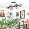 Koyoto ceiling light, globe light clear, Smoke-coloured, 8-light sources