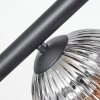 Koyoto ceiling light, globe light clear, Smoke-coloured, 8-light sources