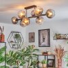 Koyoto ceiling light, globe light clear, Smoke-coloured, 8-light sources