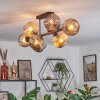 Ripoll ceiling light, globe light Amber, Smoke-coloured, 8-light sources