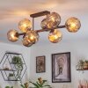 Ripoll ceiling light, globe light Amber, Smoke-coloured, 8-light sources