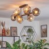 Ripoll ceiling light, globe light clear, Smoke-coloured, 8-light sources