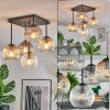 Ripoll ceiling light, globe light Amber, clear, Smoke-coloured, 5-light sources