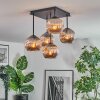 Ripoll ceiling light, globe light chrome, Smoke-coloured, 5-light sources