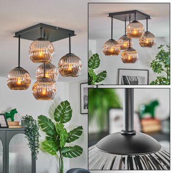 Ripoll ceiling light, globe light chrome, Smoke-coloured, 5-light sources