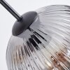 Koyoto hanging light, globe light, pendant light Amber, clear, Smoke-coloured, 6-light sources