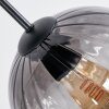 Koyoto hanging light, globe light, pendant light Amber, clear, Smoke-coloured, 6-light sources