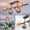 Chehalis ceiling light, globe light Amber, Smoke-coloured, 5-light sources