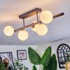 Chehalis ceiling light, globe light white, 5-light sources