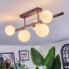 Chehalis ceiling light, globe light white, 5-light sources