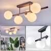 Chehalis ceiling light, globe light white, 5-light sources
