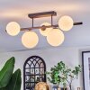 Chehalis ceiling light, globe light white, 5-light sources