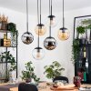 Gastor hanging light, globe light, pendant light Amber, chrome, clear, Smoke-coloured, 6-light sources