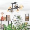 Koyoto ceiling light, globe light Amber, clear, Smoke-coloured, 8-light sources