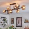 Koyoto ceiling light, globe light Amber, clear, Smoke-coloured, 8-light sources