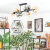 Koyoto ceiling light, globe light Amber, clear, Smoke-coloured, 8-light sources