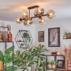 Koyoto ceiling light, globe light Amber, clear, Smoke-coloured, 8-light sources