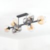Koyoto ceiling light, globe light Amber, clear, Smoke-coloured, 8-light sources