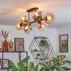 Koyoto ceiling light, globe light Amber, clear, Smoke-coloured, 8-light sources