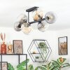 Koyoto ceiling light, globe light Amber, clear, Smoke-coloured, 8-light sources