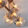 Koyoto ceiling light, globe light Amber, clear, Smoke-coloured, 8-light sources