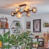 Koyoto ceiling light, globe light Amber, clear, Smoke-coloured, 8-light sources