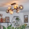 Koyoto ceiling light, globe light Amber, clear, Smoke-coloured, 8-light sources