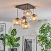 Ripoll ceiling light, globe light Amber, clear, Smoke-coloured, 5-light sources