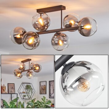 Koyoto ceiling light, globe light clear, Smoke-coloured, 6-light sources