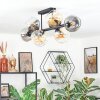 Koyoto ceiling light, globe light Amber, clear, Smoke-coloured, 8-light sources
