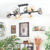 Koyoto ceiling light, globe light Amber, clear, Smoke-coloured, 8-light sources