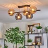 Koyoto ceiling light, globe light black, 5-light sources