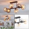 Koyoto ceiling light, globe light Amber, clear, Smoke-coloured, 6-light sources