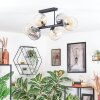 Koyoto ceiling light, globe light Amber, clear, Smoke-coloured, 6-light sources