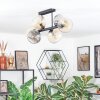 Koyoto ceiling light, globe light Amber, clear, Smoke-coloured, 6-light sources